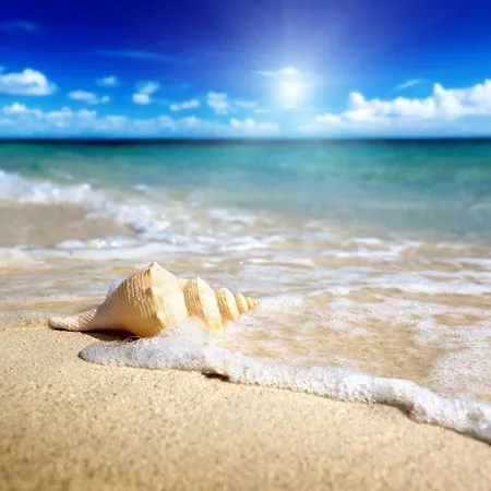 Mare Sole E Relax La Tua Perfetta Inizia Qui Scopri La Nostra Casa In Sicilia Riva Apartment